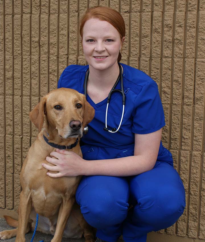 Dr. Megan Riccardi, DVM